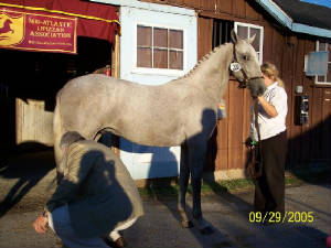 devon_2_2005.jpg