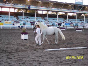 devon_4_2005.jpg