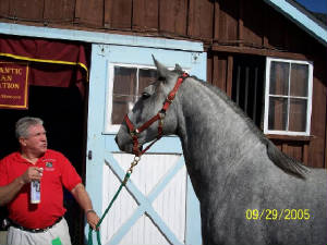 devon_8_2005.jpg