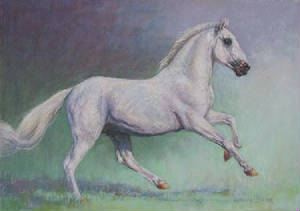 bevan_desche_run_free.jpg
